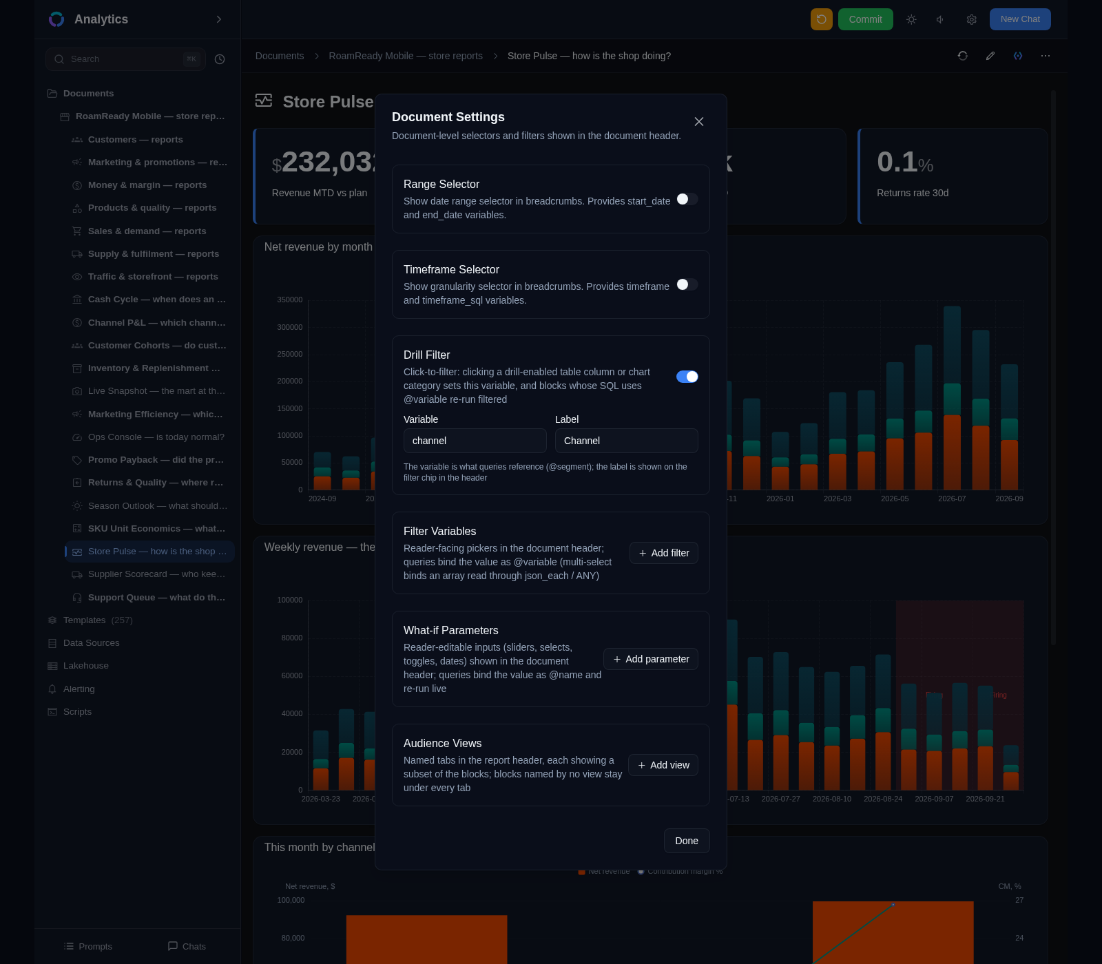 Document Settings dialog: range and timeframe selectors, the drill filter, filter variables and what-if parameters that report queries bind as variables